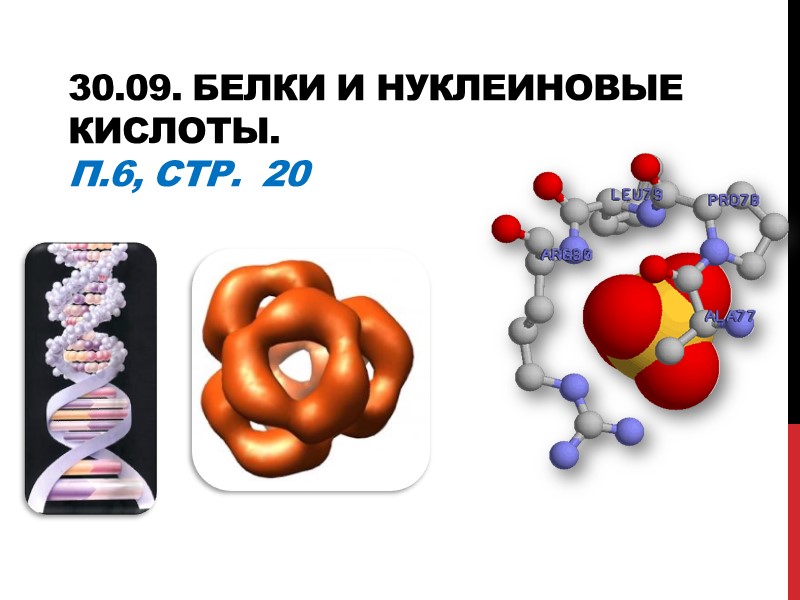 30.09. Белки и нуклеиновые кислоты. П.6, стр.  20